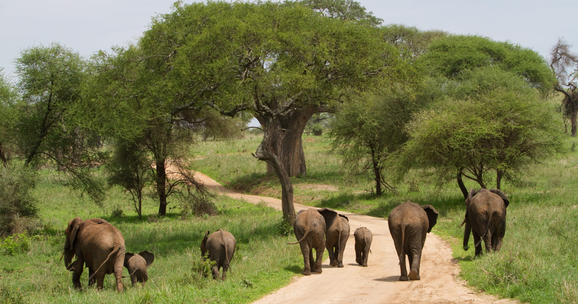 Masai Mara